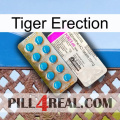 Tiger Erection new07